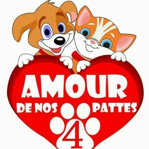 AmourDeNos4Pattes